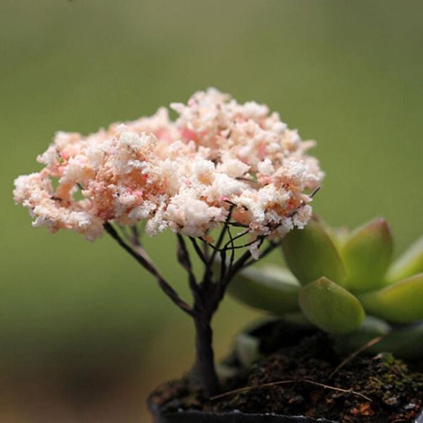 decorative objects & figurines plastic crafts miniatures garden tree ornament 7-10cm dollhouse plant pot diy craft decor home decoration acc
decorative objects & figurines plastic crafts miniatures garden tree ornament 7-10cm dollhouse plant pot diy craft decor home decoration acc
