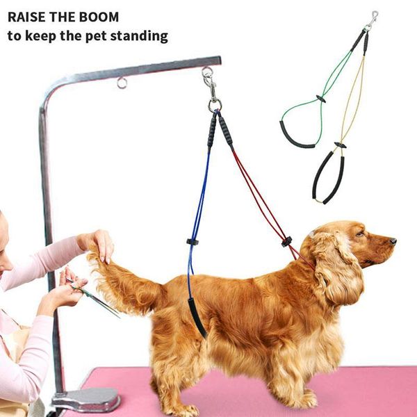 dog collars & leashes stainless steel grooming loop table arm body holder rope harness for pet cat random color
dog collars & leashes stainless steel grooming loop table arm body holder rope harness for pet cat random color