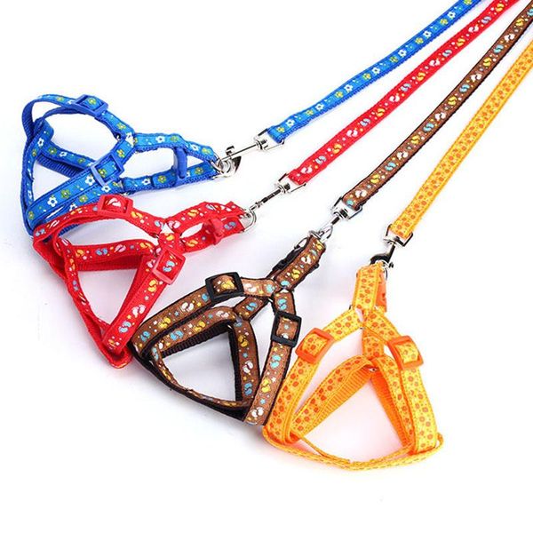 dog collars & leashes pet harness leash set cartoon animal print nylon small cat collar
dog collars & leashes pet harness leash set cartoon animal print nylon small cat collar