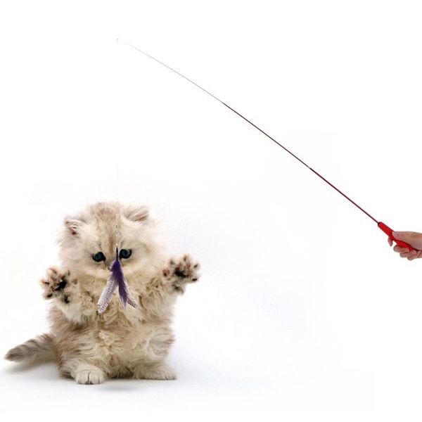 cat toys luxury high-quality extendable pet kitten feather teaser wand rod + 7pcs colorful natural long toy set
cat toys luxury high-quality extendable pet kitten feather teaser wand rod + 7pcs colorful natural long toy set