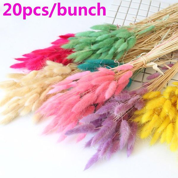 20pcs colorful grass dried flower tail natural plants floral bouquet home decoration accessories long bunches decorative flowers & wre wreat
20pcs colorful grass dried flower tail natural plants floral bouquet home decoration accessories long bunches decorative flowers & wre wreat