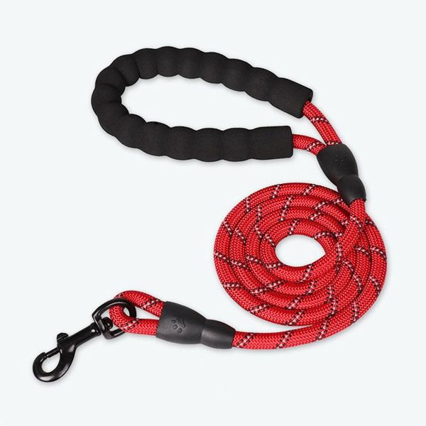 dog collars & leashes pet nylon training leash webbing recall long lead line traction rope great for teaching camping backyard
dog collars & leashes pet nylon training leash webbing recall long lead line traction rope great for teaching camping backyard