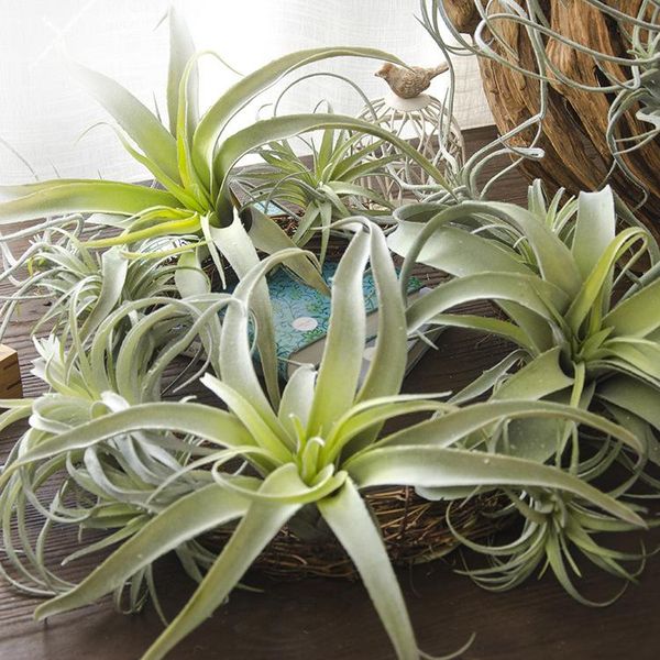 decorative flowers & wreaths artificial green plants, chlorophytum, flowers, indoor environment ceiling vines and
decorative flowers & wreaths artificial green plants, chlorophytum, flowers, indoor environment ceiling vines and