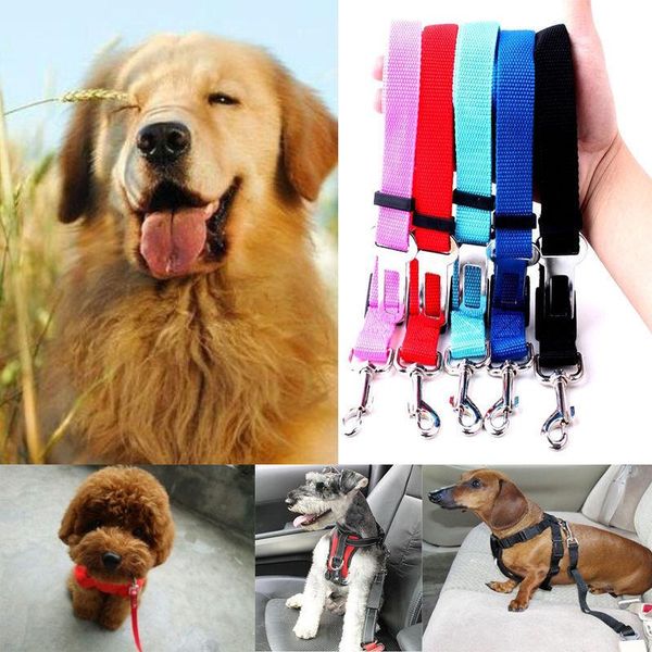 dog collars & leashes adjustable pet safety car vehicle seat belt harness lead seatbelt nylon
dog collars & leashes adjustable pet safety car vehicle seat belt harness lead seatbelt nylon