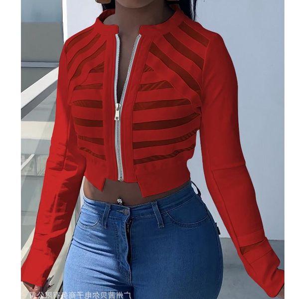women's jackets mandylandy mesh short stitching coat outwear solid color autumn multi-color stripe women long sleeve coats, Black;brown
women's jackets mandylandy mesh short stitching coat outwear solid color autumn multi-color stripe women long sleeve coats, Black;brown