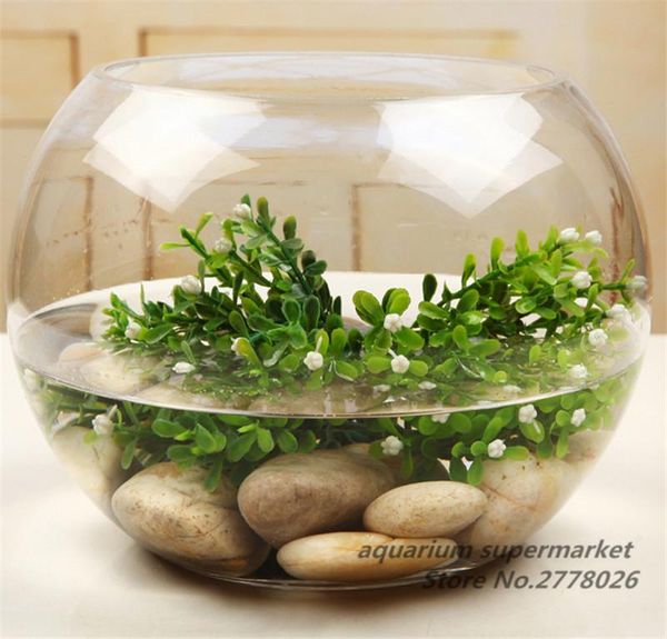 aquariums 1pcs round clear glass fish tank hydroponic fleshy micro landscape bottle plant container household living room decoration
aquariums 1pcs round clear glass fish tank hydroponic fleshy micro landscape bottle plant container household living room decoration