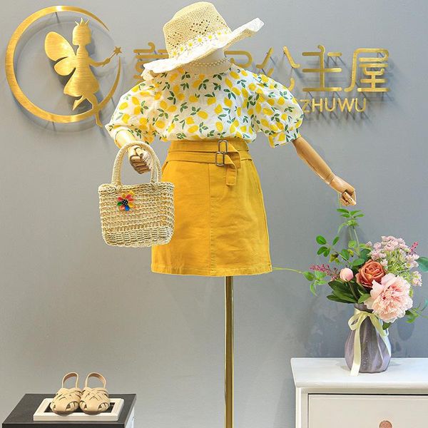 summer baby girls sets fashion floral blouse plus package skirt two-piece dress for children t-shirt casual clothes clothing, White
summer baby girls sets fashion floral blouse plus package skirt two-piece dress for children t-shirt casual clothes clothing, White