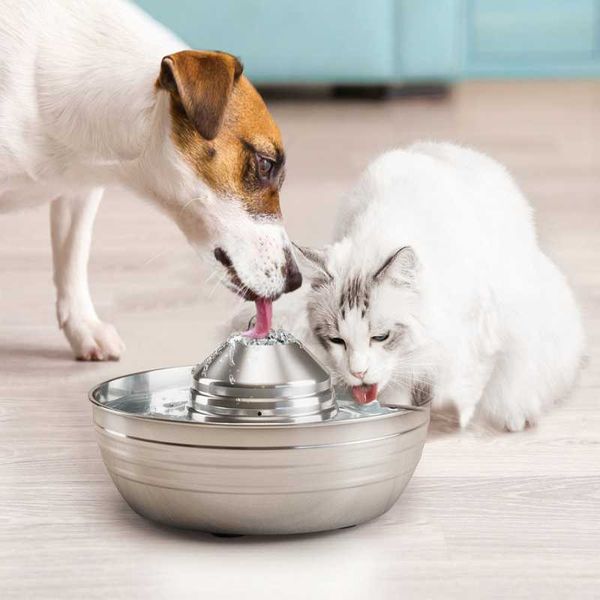 cat bowls & feeders 2l fountain stainless steel pet drinking super quiet automatic water dispenser food bowl for cats and dogs
cat bowls & feeders 2l fountain stainless steel pet drinking super quiet automatic water dispenser food bowl for cats and dogs