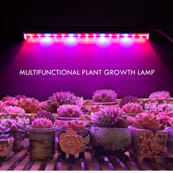 led grow light full spectrum tent lamp for plants tandem grows lights phytolamp indoor greenhouse hydroponic
led grow light full spectrum tent lamp for plants tandem grows lights phytolamp indoor greenhouse hydroponic