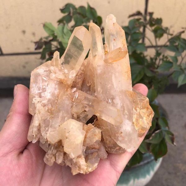 250g-2000g natural white clear quartz cluster crystal mineral healing stone 1pc decorative objects & figurines
250g-2000g natural white clear quartz cluster crystal mineral healing stone 1pc decorative objects & figurines