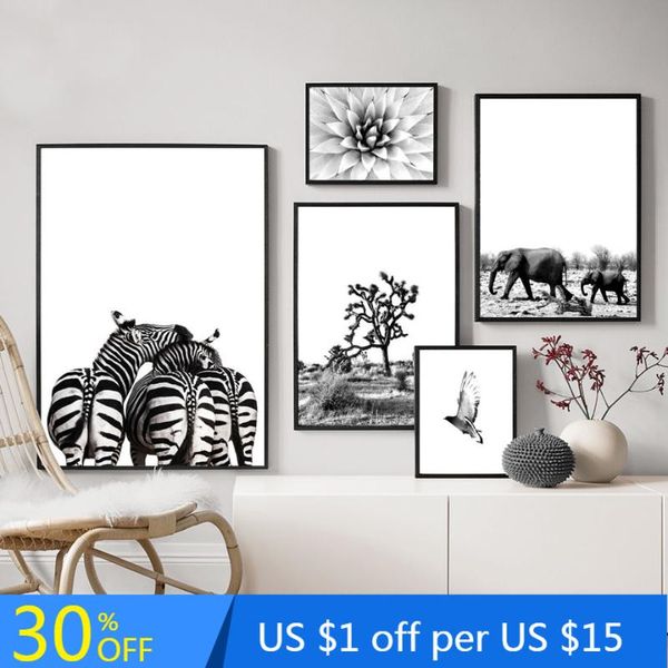 paintings zebra elephant bird flower africa black white animal posters and prints for living room wall art canvas painting pictures
paintings zebra elephant bird flower africa black white animal posters and prints for living room wall art canvas painting pictures