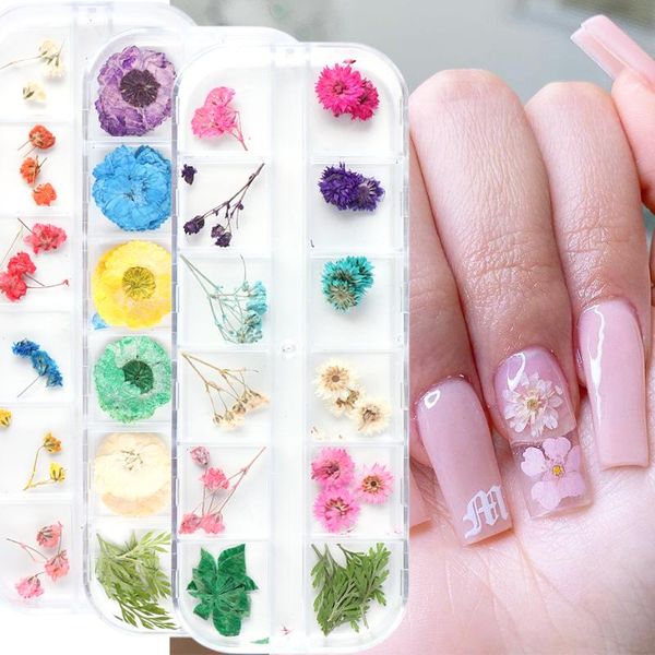 nail art decorations dried flowers for decoration mixed fresh natural floral plants daisy rose leaf nals uv gel polish manicure lef25-28, Silver;gold
nail art decorations dried flowers for decoration mixed fresh natural floral plants daisy rose leaf nals uv gel polish manicure lef25-28, Silver;gold