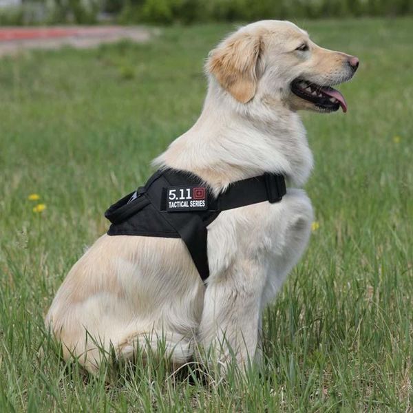 dog collars & leashes outdoor tactical traction rope military vest chest strap k9 service harness for large and medium
dog collars & leashes outdoor tactical traction rope military vest chest strap k9 service harness for large and medium