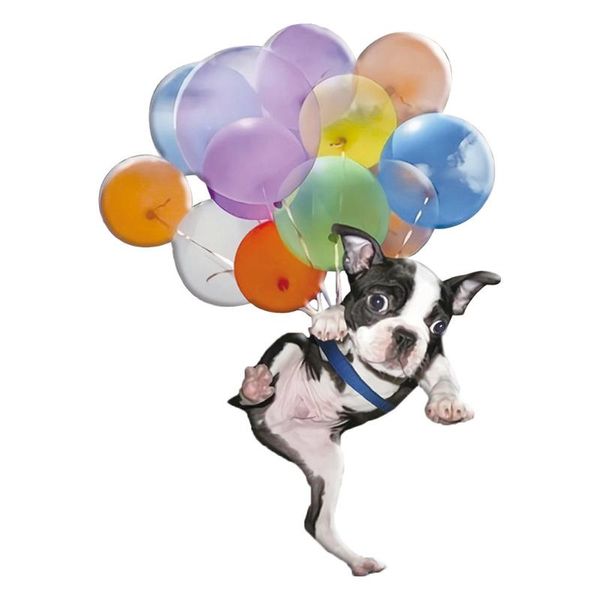 interior decorations acrylic balloon dog pendant home office car mirror hanging decoration craft color
interior decorations acrylic balloon dog pendant home office car mirror hanging decoration craft color