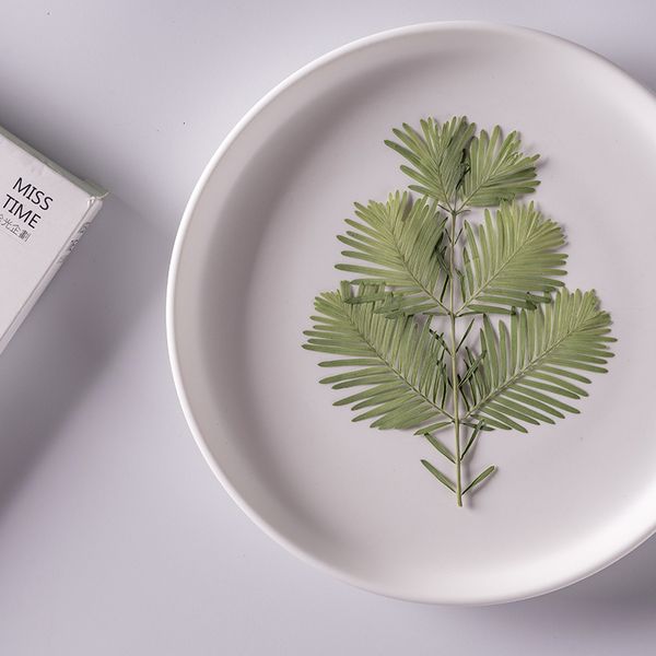 metasequoia glyptostroboides dry flower embossing face decoration real leaf plant specimen diy material festival gift design
metasequoia glyptostroboides dry flower embossing face decoration real leaf plant specimen diy material festival gift design