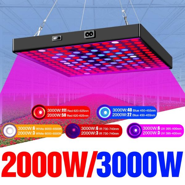 grow lights 2000w 3000w led light full spectrum 220v plant lighting quantum board phytolamps for seedlings fitolampy flower growth
grow lights 2000w 3000w led light full spectrum 220v plant lighting quantum board phytolamps for seedlings fitolampy flower growth