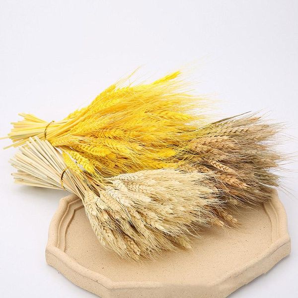 decorative flowers & wreaths 50pcs real wheat ear flower natural dried for wedding party decoration diy craft scrapbook home decor bouquet
decorative flowers & wreaths 50pcs real wheat ear flower natural dried for wedding party decoration diy craft scrapbook home decor bouquet