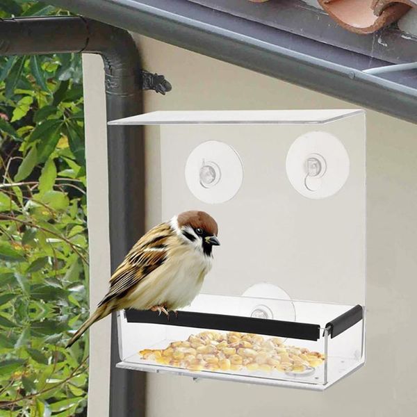 other bird supplies clear glass window viewing feeder el table seed peanut hanging suction alimentador adsorption house type
other bird supplies clear glass window viewing feeder el table seed peanut hanging suction alimentador adsorption house type