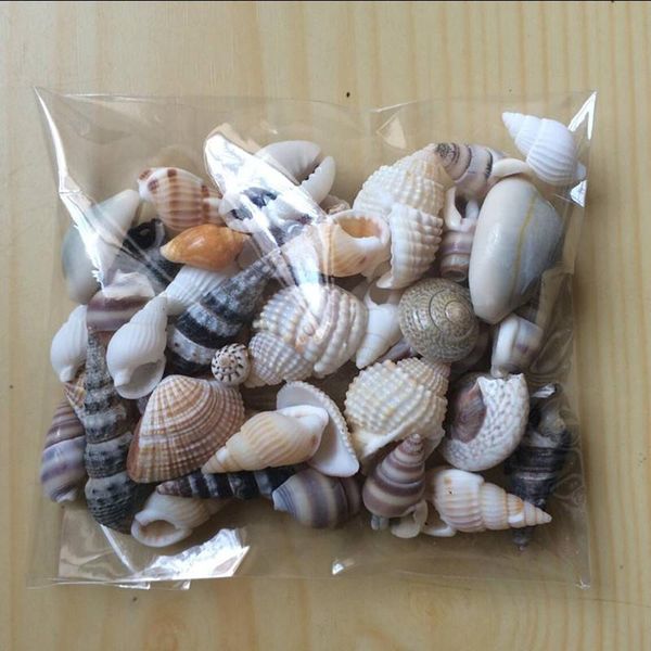 novelty items happykiss lot of funny mixed sea shells shell craft aquarium nautical decor ornaments natural mini conch mediterranean
novelty items happykiss lot of funny mixed sea shells shell craft aquarium nautical decor ornaments natural mini conch mediterranean