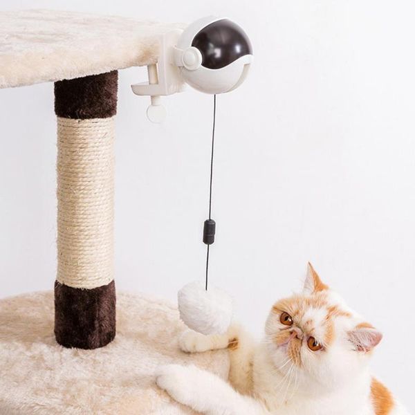 white metal plush 10kg electric fun cat detachable easy to play toy smart ball swing up down automatic device pet supply toys
white metal plush 10kg electric fun cat detachable easy to play toy smart ball swing up down automatic device pet supply toys
