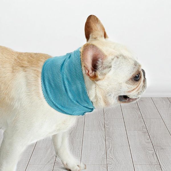 dog collars & leashes spring/summer bandana scarf cooling cool necks triangular bandage pet sunstroke prevention towel wrap neck
dog collars & leashes spring/summer bandana scarf cooling cool necks triangular bandage pet sunstroke prevention towel wrap neck