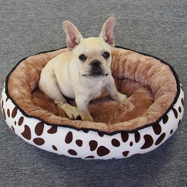 cat beds & furniture bed foldable and removable house soft plush sleeping winter travel portable nest for small medium big pet dog
cat beds & furniture bed foldable and removable house soft plush sleeping winter travel portable nest for small medium big pet dog