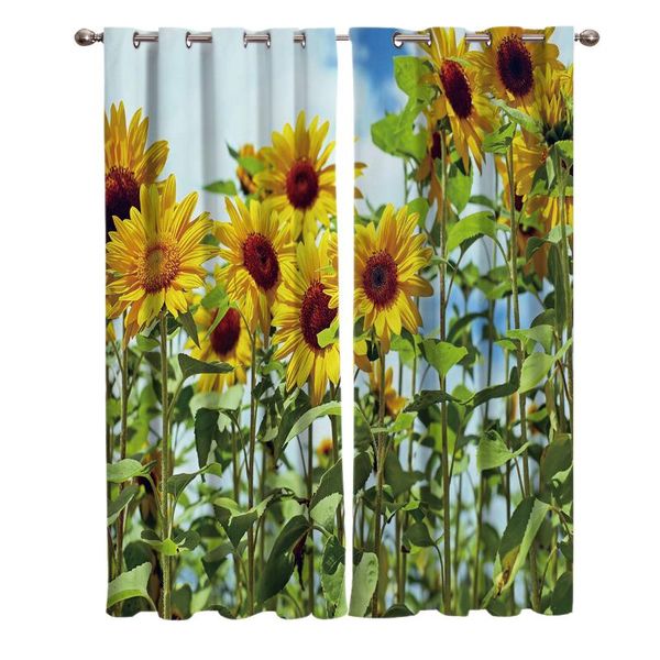 curtain & drapes sunflower field flower curtains window living room kitchen indoor high blackout
curtain & drapes sunflower field flower curtains window living room kitchen indoor high blackout