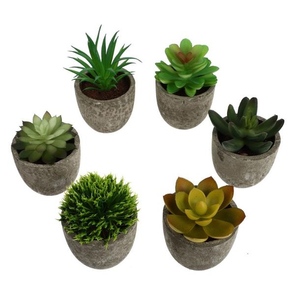 decorative flowers & wreaths 6pcs delicate fake succulent plant decors realistic adornments 
decorative flowers & wreaths 6pcs delicate fake succulent plant decors realistic adornments