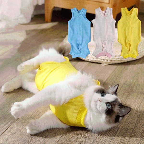 four season soft sterilization suit cat clothes sweater jumpsuit for sphinx sweet pet clothing t-shirt hoodie overalls costumes
four season soft sterilization suit cat clothes sweater jumpsuit for sphinx sweet pet clothing t-shirt hoodie overalls costumes