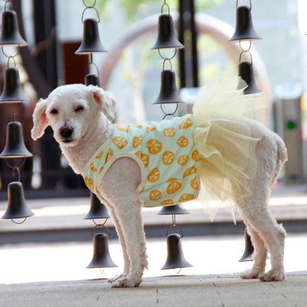 dog apparel cats dresses cute print pet dogs spring summer pattern skirt clothes for large m#20
dog apparel cats dresses cute print pet dogs spring summer pattern skirt clothes for large m#20