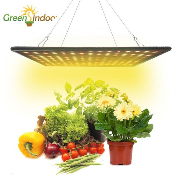 led grow light indoor plant lamp panel full spectrum phytolamp greenhouse flower seedling cuitivation at home bright lights
led grow light indoor plant lamp panel full spectrum phytolamp greenhouse flower seedling cuitivation at home bright lights