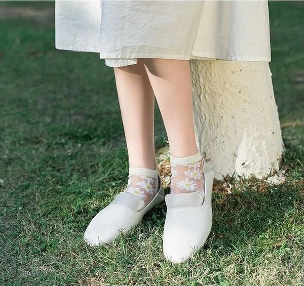 translucent daisy socks 5 pair breathable outdoors casual for women and girls ll dog apparel
translucent daisy socks 5 pair breathable outdoors casual for women and girls ll dog apparel