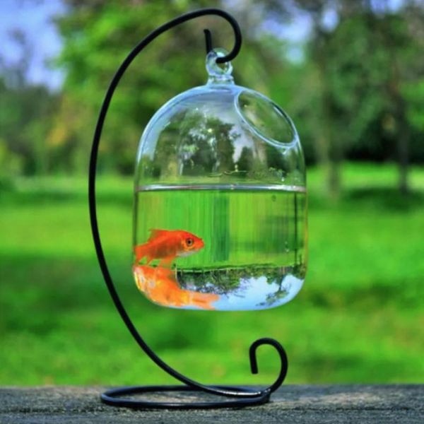 aquariums lechong creative hanging glass vase fish tank iron frame plant aquarium flower mini display box art deco supplies
aquariums lechong creative hanging glass vase fish tank iron frame plant aquarium flower mini display box art deco supplies