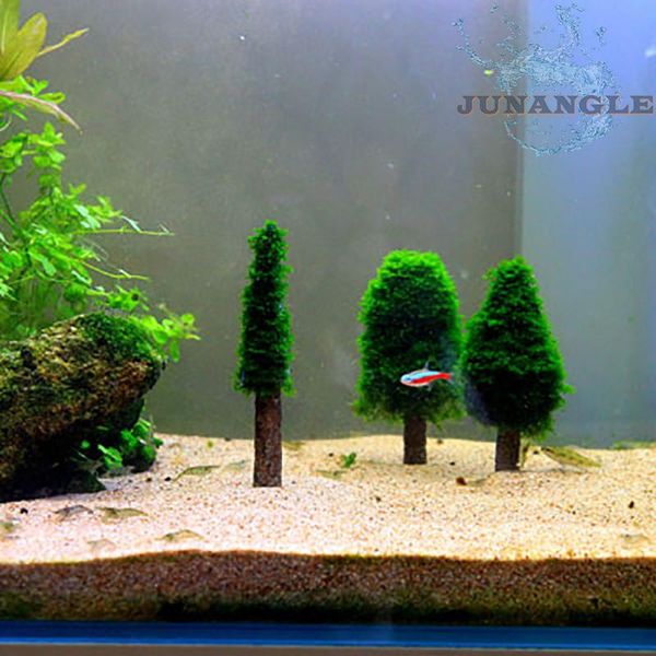 1pcs diy moss tree mini fish tank decoration accessories aquarium plants bowl ornaments decorations
1pcs diy moss tree mini fish tank decoration accessories aquarium plants bowl ornaments decorations