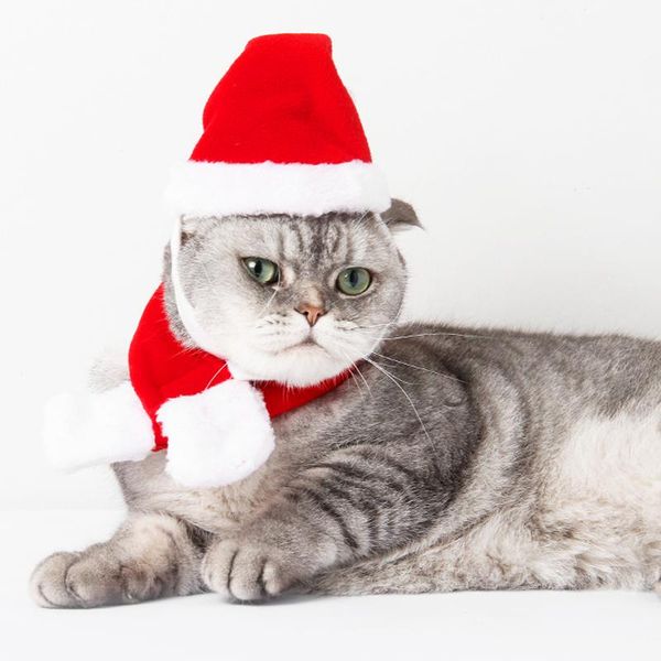 cat collars & leads happy christmas holiday warm winter coat, antlers headband, puppy dog headband cap scarf, product supply
cat collars & leads happy christmas holiday warm winter coat, antlers headband, puppy dog headband cap scarf, product supply