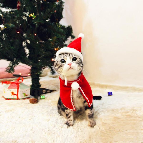 cat costumes pet dog clothes christmas costume hat scarf cloak dress up for kitten puppy small xmas year accessories
cat costumes pet dog clothes christmas costume hat scarf cloak dress up for kitten puppy small xmas year accessories