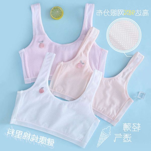 lingerie girl summer girl student vest breathable thin no steel bra pure cotton lining girls underwear, Black;pink
lingerie girl summer girl student vest breathable thin no steel bra pure cotton lining girls underwear, Black;pink