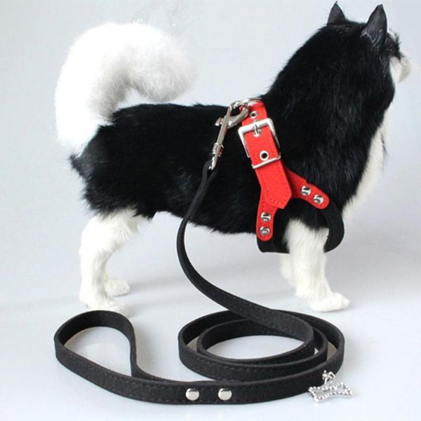 dog collars & leashes soft suede leather small pet harness for puppies chihuahua yorkie teddy pup puppy adjustable chest dogs supplies
dog collars & leashes soft suede leather small pet harness for puppies chihuahua yorkie teddy pup puppy adjustable chest dogs supplies