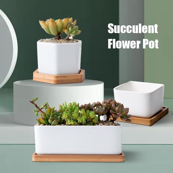 planters & pots minimalist simple white creative deskceramic flowerpot with bamboo tray succulent plant pot cactus planter flower
planters & pots minimalist simple white creative deskceramic flowerpot with bamboo tray succulent plant pot cactus planter flower
