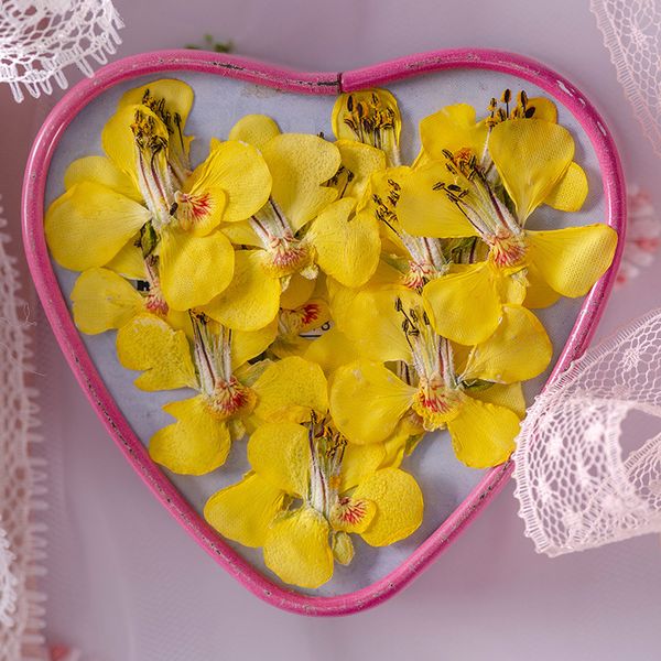 yunshi flower natural real plant specimen diy jewelry pendant dry net red petal makeup paste face festival gift design
yunshi flower natural real plant specimen diy jewelry pendant dry net red petal makeup paste face festival gift design