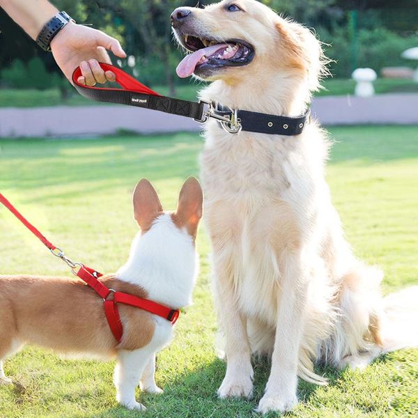 dog collars & leashes pet short leash with comfortable padded handle for medium large dogs reflective fibers walking training
dog collars & leashes pet short leash with comfortable padded handle for medium large dogs reflective fibers walking training