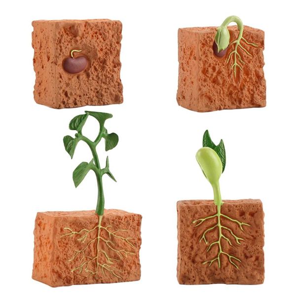 decorative flowers & wreaths 1 set simulation plant toy seed life cycle educational children's cognitive growth model
decorative flowers & wreaths 1 set simulation plant toy seed life cycle educational children's cognitive growth model