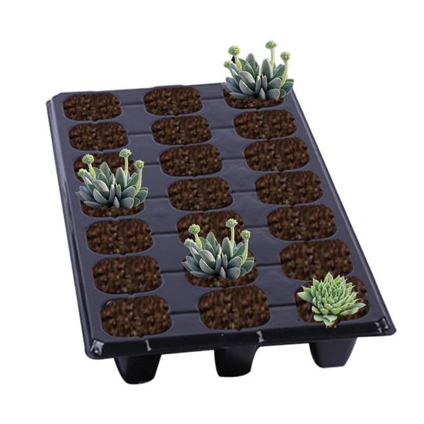 planters & pots 5/10pc pvc seedling starter tray vegetable cultivating seed germination plant flower nursery grow box garden
planters & pots 5/10pc pvc seedling starter tray vegetable cultivating seed germination plant flower nursery grow box garden