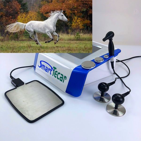 veterinary tecar therapy unit pet physiotherapy machine health gadgets with cet ret handles
veterinary tecar therapy unit pet physiotherapy machine health gadgets with cet ret handles