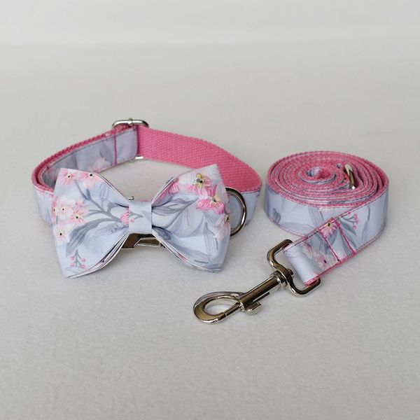 dog collars & leashes retractable bowknot collar and leash automatic combo set, engraved neck belt
