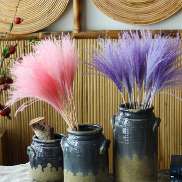 decorative flowers & wreaths 15pcs/bunch 3 colors natural dried small pampas wedding home decor reed grass bouquets phragmites
decorative flowers & wreaths 15pcs/bunch 3 colors natural dried small pampas wedding home decor reed grass bouquets phragmites