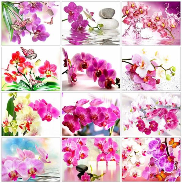 diamond painting evershine embroidery flowers rhinestones art orchid cross stitch handmade bead picture kits home decor
diamond painting evershine embroidery flowers rhinestones art orchid cross stitch handmade bead picture kits home decor