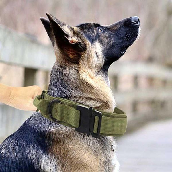 cat collars & leads pet dog collar nylon training hunting traction with steel buckle accessory
cat collars & leads pet dog collar nylon training hunting traction with steel buckle accessory