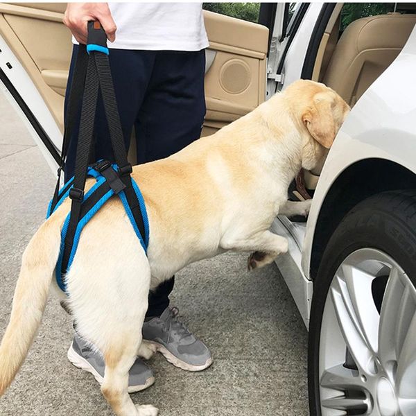 dog collars & leashes hoomall pet dogs aid assist tool nylon adjustable lift harness for back legs support sling help weak stand up
dog collars & leashes hoomall pet dogs aid assist tool nylon adjustable lift harness for back legs support sling help weak stand up