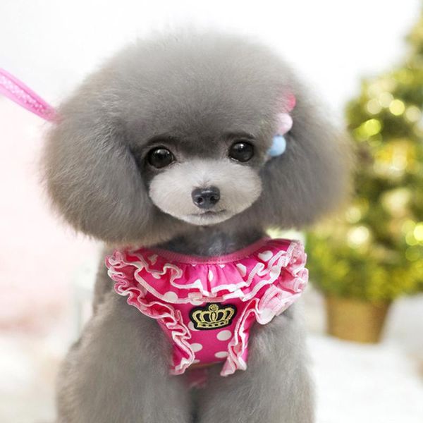 dog collars & leashes becatiful soft pet harnesses vest chihuahua puppy cat harness leash set for small medium dogs coat
dog collars & leashes becatiful soft pet harnesses vest chihuahua puppy cat harness leash set for small medium dogs coat